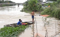 Video: Bơi xuồng xúc cá mùa nước lũ miền Tây