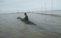 Nước thượng nguồn Mekong lên nhanh, mực nước ĐBSCL vẫn dưới báo động 1