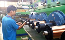 Doanh nghiệp Việt chủ yếu 'tự bơi'?