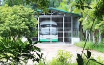 Xe buýt điện gần chục tỉ 'nằm ụ' vì trục trặc trên đảo Cát Bà