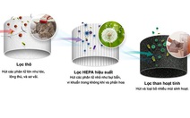 6 lý do khiến bạn tin dùng máy lọc không khí Levoit