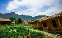 'Tây có bar còn to đẹp hơn, cớ gì phải tới tận Sa Pa thưởng thức món này?'