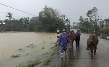 NÓNG ở Quảng Ngãi: 'Nước lên thấy rõ luôn. Tôi cõng mẹ chạy lũ, còn đồ đạc bỏ hết'