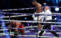 Knock-out Pulev sau 9 hiệp, Anthony Joshua hướng đến trận thống nhất đai với Tyson Fury