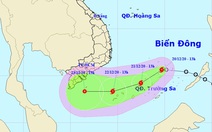Áp thấp nhiệt đới đã mạnh lên thành bão số 14, còn tiếp tục mạnh hơn