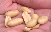 Mỹ phê duyệt loại thuốc uống đầu tiên giúp giảm dị ứng đậu phộng