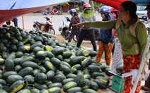 Đe dọa buộc đưa tiền bảo kê 2 triệu đồng/xe mới cho chở dưa hấu đi bán 'giải cứu'