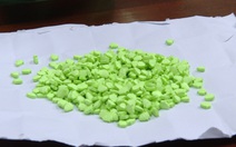 Vận chuyển 500 viên thuốc lắc, được trả công 15 triệu đồng