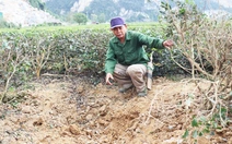Mỏ đá nổ mìn làm đá ‘bay’ vào nhà dân là ‘sự cố ngoài dự kiến’