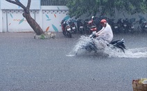 Cà Mau 'mưa vàng', ngập nửa bánh xe ngay giữa mùa khô