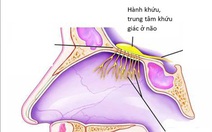 Mất mùi đột ngột: có thể là triệu chứng duy nhất ở bệnh nhân COVID-19