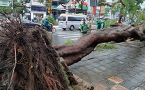 Một phụ nữ ở Cần Thơ đang làm đồng bị sét đánh chết