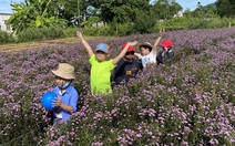 Nhiều tour lạ, giá tốt trong Ngày hội du lịch