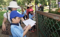 Bất an trải nghiệm, ngoại khóa