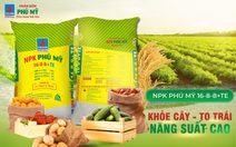 NPK Phú Mỹ tăng trưởng vượt bậc