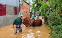 Nước sông dâng nhanh, người dân Quảng Nam tất bật chạy tránh lũ