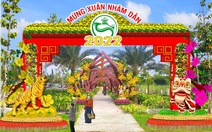 Cần Thơ: Không làm đường hoa nghệ thuật xuân Nhâm Dần