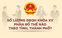 Toàn cảnh số lượng ĐBQH khóa XV tại các tỉnh, thành