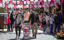 Công ty du lịch nhộn nhịp 'nhận tour từ sáng tới tối'