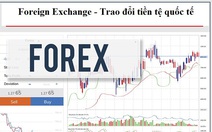 Công an Hà Nội vạch trần thủ đoạn của sàn giao dịch Forex