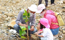 Mong 'bom' nổ để đồi trọc thêm xanh