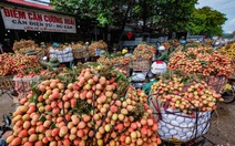 Phó thủ tướng Lê Văn Thành yêu cầu các nơi không 'ngăn sông, cấm chợ' xe chở vải thiều