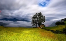 Chòi ngắm cảnh ở Y Tý sẽ xây dựng cách cây song song hơn 1km