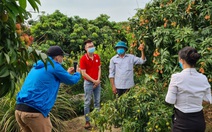 Mục tiêu bán 100 tấn vải thiều Bắc Giang trên Sendo