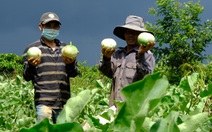 'Người dân TP.HCM giúp đỡ chúng tôi nhiều rồi, giờ đến lúc chúng tôi giúp lại'