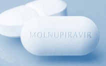 Từ 27-8, TP.HCM đưa thuốc kháng virus Molnupiravir điều trị cho F0 cộng đồng