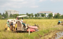 Bạc Liêu nhờ Hậu Giang, Sóc Trăng hỗ trợ thu hoạch lúa