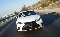 Lexus ra mắt 3 mẫu xe F Sport tại Việt Nam: Giá từ 2,56 tỉ đồng, cạnh tranh BMW M và Mercedes-AMG