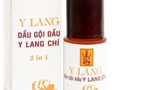 Thu hồi toàn quốc lô sản phẩm dầu gội Y Lang điều trị chí, rận