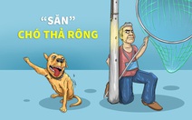 'Biệt đội' săn bắt chó thả rông ở TP Thủ Đức