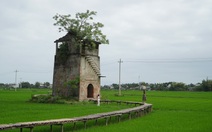 Bên 'Lò gạch cũ' trồng gạo sạch, mở farmstay hút du khách