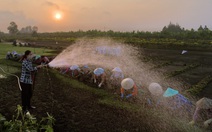 Thi ảnh Nụ xuân: Những 'con ong' chăm chỉ ngày xuân