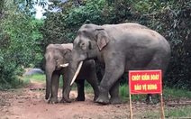 Đồng Nai đề nghị UNESCO ‘thẩm định’ dự án xuyên qua khu dự trữ sinh quyển