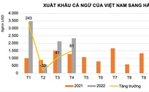 Cá ngừ Việt Nam được tiêu thụ mạnh ở Hà Lan, giá trị tăng gần gấp đôi năm trước