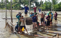 Giá cá tra tăng lên, 27.000 - 28.000 đồng/kg, chi phí bà con nuôi gần 30.000 đồng/kg