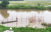 Nước đổ về nhiều, dân đầu nguồn sông Tiền, sông Hậu phấn khởi chuẩn bị đánh bắt cá