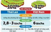 Việt Nam thua Thái Lan về giống nông sản?