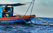 Phóng sự điều tra: Tàu 'giã điện' tàn sát trên biển