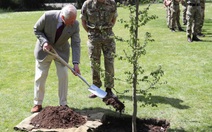 Đài tưởng niệm Nữ hoàng Elizabeth II lớn nhất sẽ 'bén rễ' vào mùa đông