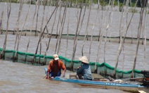 ‘Trữ lũ’ trên 88.000ha để cải tạo đất và tăng thu nhập cho nông dân