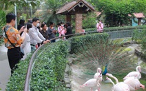 Người dân đổ về Thảo cầm viên đông nghẹt dịp Tết dương lịch