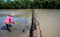 Làm đập ngăn dòng nhiều quá, con người sẽ thiếu điện, thiếu nước