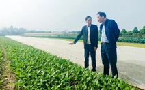 'Không để rau VietGAP dỏm tuồn vào siêu thị'