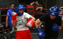 Võ sĩ boxing Việt Nam đấu với nhà vô địch Hàn Quốc