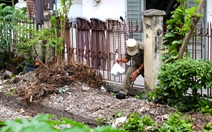 Hàng rào đường sắt TP.HCM hư hỏng, xuất hiện nhiều lối mở