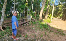 Long An lập dự án 32 tỉ để bảo tồn di tích trong lòng đất